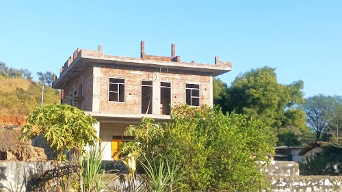 Naidel Studio, Naidoli