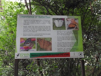 Butterfly Park, Asola Bhatti Wildlife Sanctuary