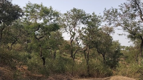 Bodhwa Bhandh