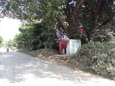 Daietra veer baba mandir semai ka pura vale
