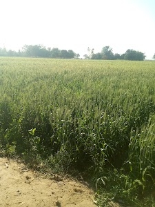 TRIPURARIPUR