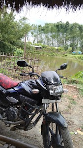 Badar (Ponds)