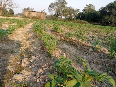 Gokulpur