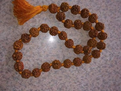 NEPAL RUDRAKSHA POINT