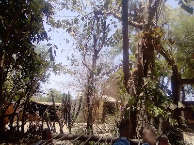 Bilodara