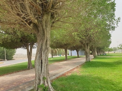 Jubail Beach