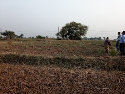 Salimpur Ahra, Golambar