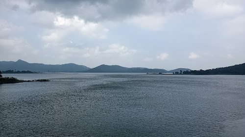 Dungarvant