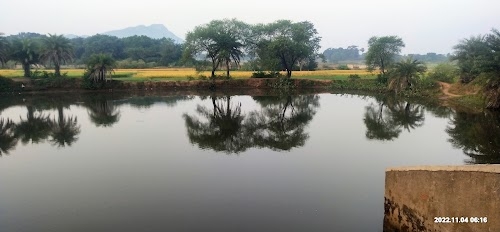 Kohinoor Pond Leto