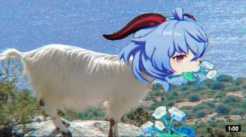 Cocogoat Farm