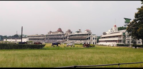 Race Course