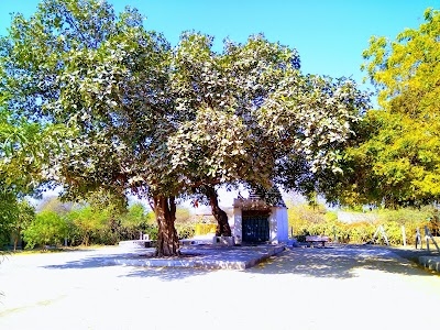 Mahadev Mandir