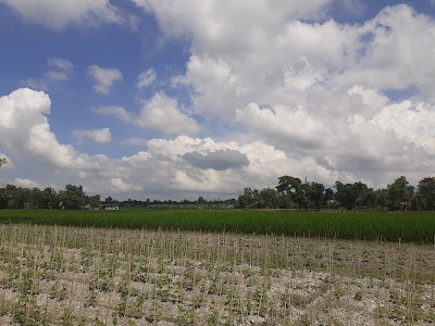 Nodipur