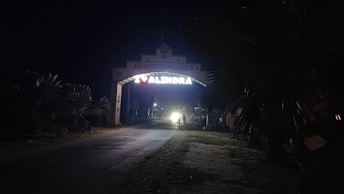 Alindra gam vaso