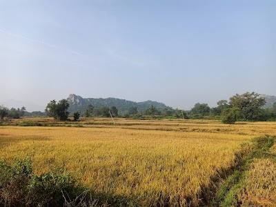Sahaspur