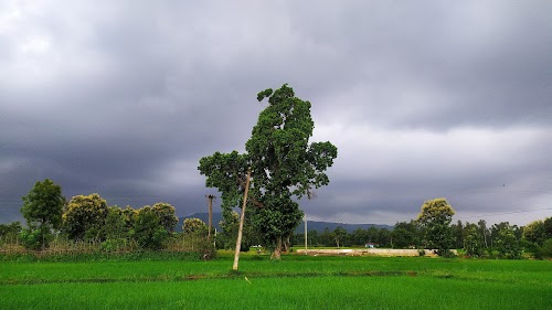 Bijli office ghunghuti