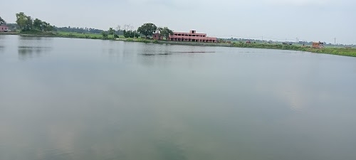 Kochgaon