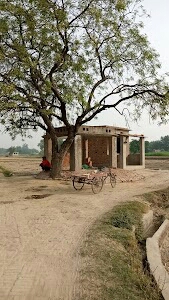 Naina marraige hall and hotel