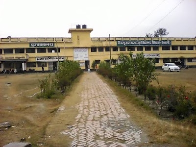 Nirsu Narain College