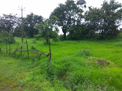Ganesh Pilankar Farm