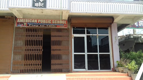 American Public School