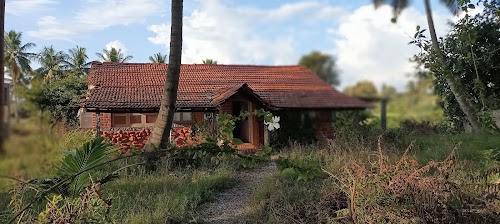 Aranya eco village resort