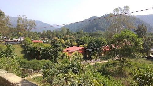 Forest