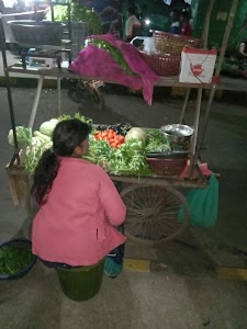 LNCT Garden