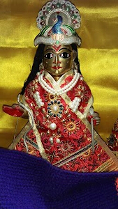 Nirala nagar