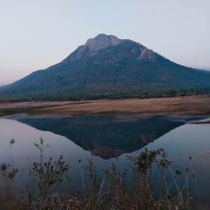 Pondi Dalha