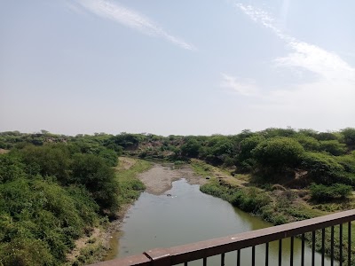 Nagla Hariya, Sasni