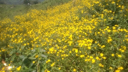 Lakhimpur