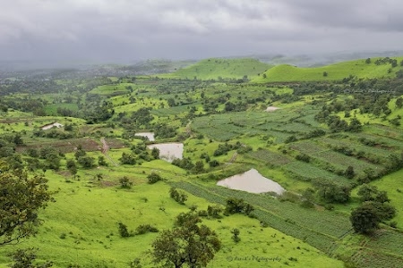 Malkapur