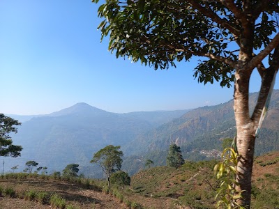 Mallaguri
