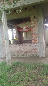 Bayasi