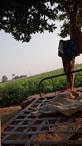 rajak.bhai.savan