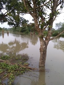 Maa Ganga Mandir