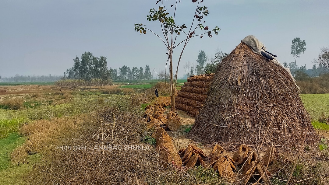 Umedpur Bhuta