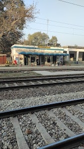 Kaurha