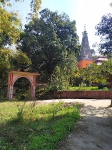 Dhaneta