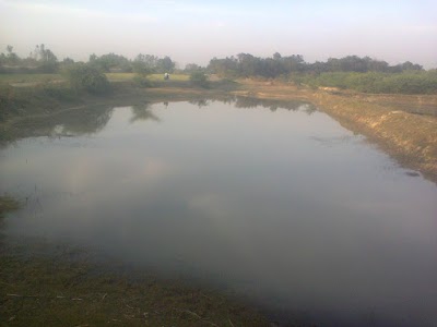 Bihat Gaur
