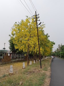 Medical Colony