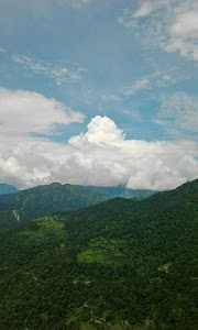 Lodasi