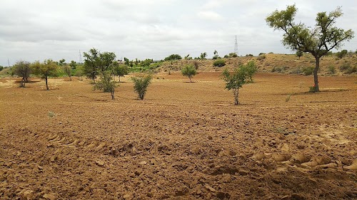 Chitoriya Krishi farm