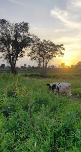 Agondapalli