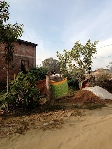 Maharana house