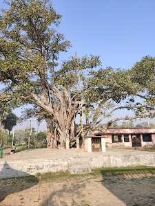 bheldi Barham Baba Aasthan