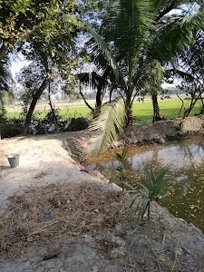 Meyanapur