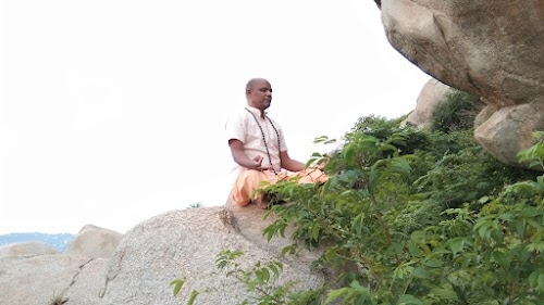 Hamsa Yoga Foundation (R)