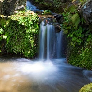 Kondal